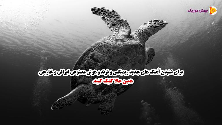 دانلود آهنگ مثل یه پرنده که همه پراشو چیدن از شادمهر عقیلی